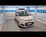 FIAT New Panda 1.2 Easy 69cv E6