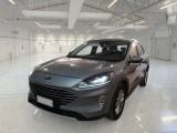 FORD Kuga 1.5 EcoBlue 120 CV aut. 2WD Titanium Business