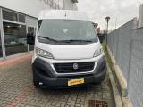 FIAT Ducato 33 2.3 MJT 130CVPanorama 9 posti PM-TETTO ALTo