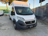 FIAT FIAT  DUCATO MAXI