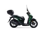 HONDA SH 150 Vetro verde