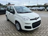 FIAT Pandina 1.0 FireFly 70 CV Hybrid Icon