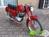 ALTRE MOTO O TIPOLOGIE Other MASERATI 160 T4 DEL 1955  CON ASI