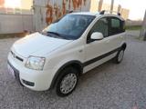 FIAT Panda 1.2 4x4 Climbing