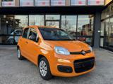 FIAT Panda 1.2 POP - *SOLO 39.000Km!!!*