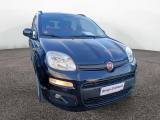 FIAT Panda 1.2 Easy 69cv E6