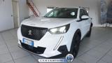 PEUGEOT 2008 BlueHDi 110 S&S Allure N1 (autocarro 5 posti)