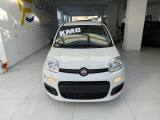 FIAT Panda 1.0 FireFly S&S Hybrid Pop da ?139,00 mensili