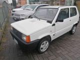 FIAT Panda 1ª serie 900 i.e. cat Young
