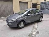 FIAT Punto 1.2 8V 5 porte Lounge