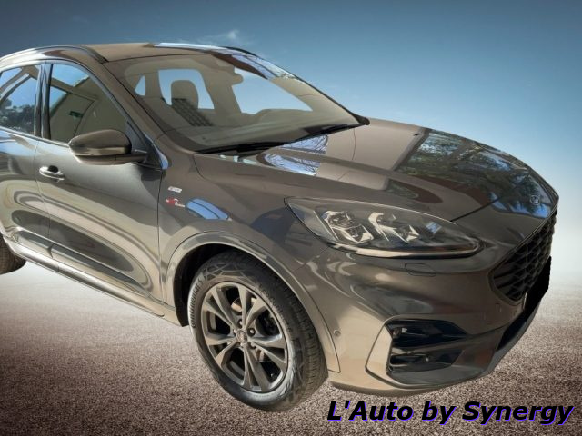 FORD Kuga Diesel 2020 usata, Vicenza