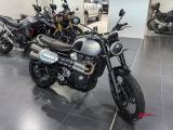 TRIUMPH Scrambler 1200