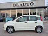 FIAT Panda 1.2 EasyPower Lounge no vincoli
