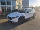 MAZDA CX-30 2.0L e-Skyactiv-G M Hybrid 2WD Homura
