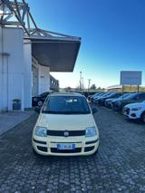 FIAT Panda 1.2 Dynamic NEO PATENTATO