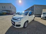 FIAT Panda 1.2 69CV Easy AUTOVETTURA