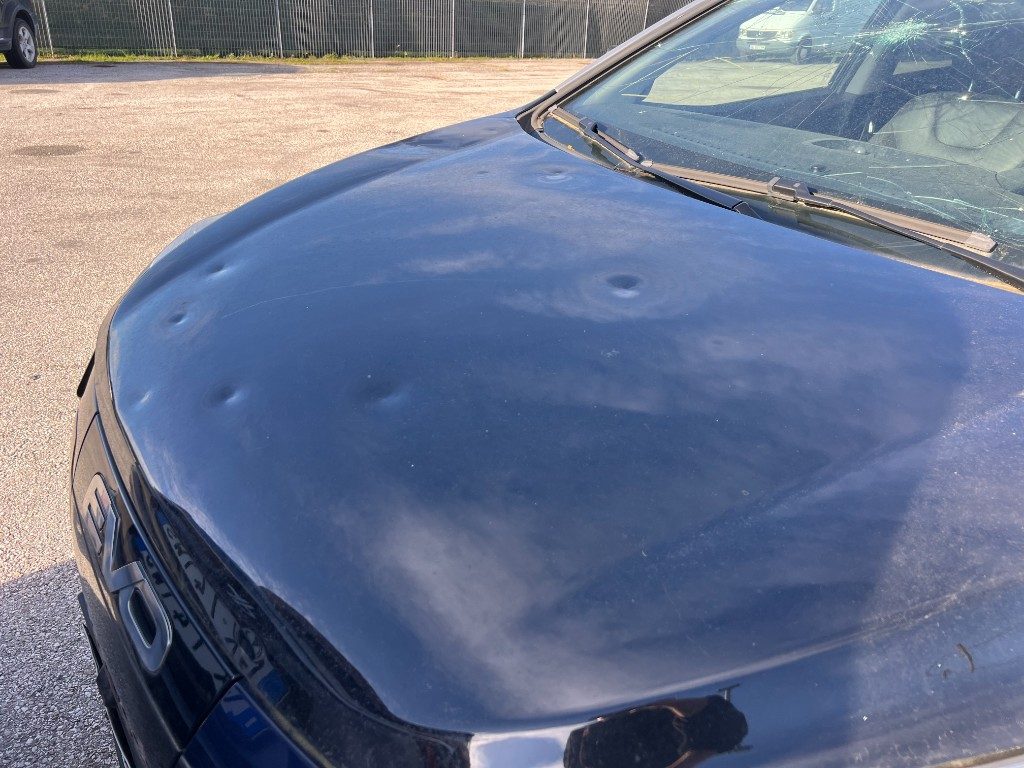 Immagine di EVO Evo3 Eletric del 12/2022 km 0