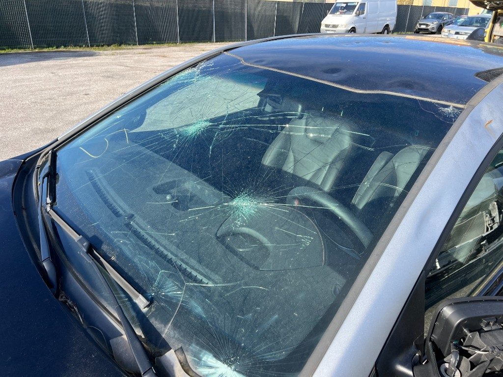 Immagine di EVO Evo3 Eletric del 12/2022 km 0