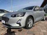 FORD Focus 1.5 EcoBlue 120 CV 5p.