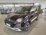 FIAT Panda 1.0 FireFly S&S Hybrid Pandina