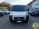 FIAT Ducato 33 2.2 MJT PN-TN Panorama