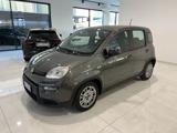 FIAT Panda 1.0 FireFly S&S Hybrid Sensori di parcheggio