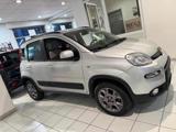 FIAT Panda 1.3 MJT 95 CV S&S 4x4 Climbing