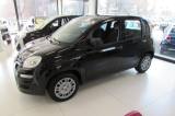 FIAT Panda 1.0 FireFly S&S Hybrid Pop KM ZERO