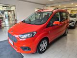 FORD Tourneo Courier 1.0 EcoBoost 100 CV Plus