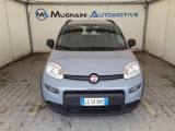 FIAT Panda 1.0 FireFly 70cv Hybrid *5 POSTI*