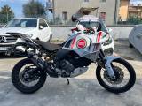 DUCATI DesertX 937 Lucky Explorer