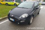 FIAT Punto Punto 1.3 Mjt 75cv 5p Easy