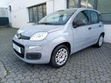 FIAT Panda 1.2 BENZINA 69CV EASY PREZZO REALE!