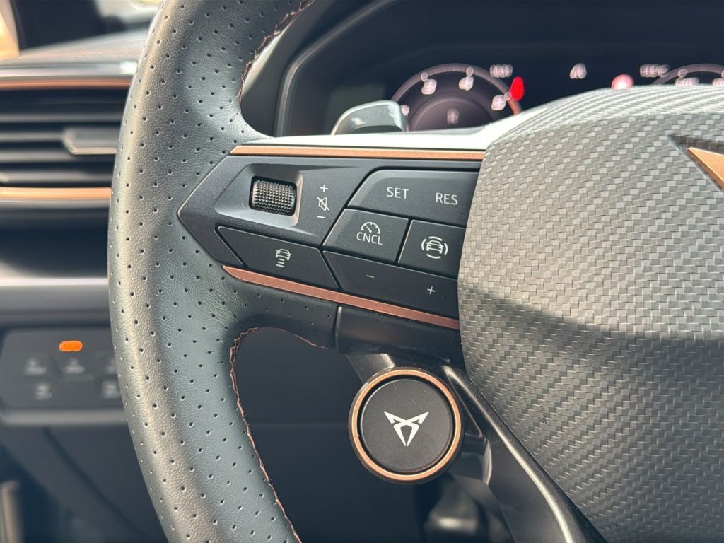 immagine usato CUPRA Leon sportstourer 2.0 tdi 150cv dsg