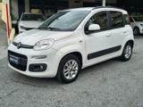 FIAT Panda 1.2 Lounge - Tagliandi certificati