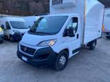 FIAT Ducato  2.3 Frigo -20°C