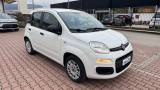 FIAT New Panda 0.9 TwinAir Turbo S&S EASY CAMBIO AUTOMATICO