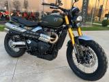 TRIUMPH Scrambler 900
