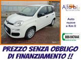 FIAT Pandina 1.0 FireFly 65CV Hybrid Icon (5 Posti)