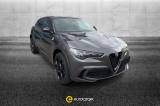 ALFA ROMEO Stelvio 2.9 Bi-Turbo V6 520 CV AT8 Q4 Quadrifoglio