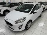 FORD Fiesta 1.5 EcoBlue 5 porte Business