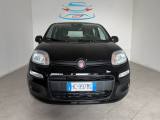 FIAT Pandina 1.0 FireFly 65 CV Hybrid Icon