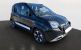 FIAT Panda Cross Pandina Cross