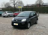 FIAT Panda 1.0 FireFly S&S Hybrid 5 Posti