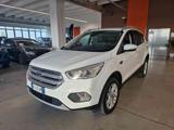 FORD Kuga 1.5 TDCI 120 CV 2WD Titanium