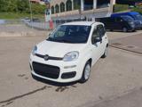 FIAT Panda 1.0 FireFly 65 CV Hybrid