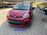 FIAT Panda 1.0 HYBRID 5 POSTI +PACK ICON KM 0