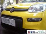 FIAT Panda 1.0 FireFly S&S Hybrid Pop Km0