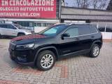 JEEP Cherokee 2.2 mjt Business 4wd Automatica