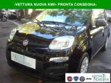 FIAT Panda 1.0 FireFly S&S Hybrid Icon 5°posto KM0